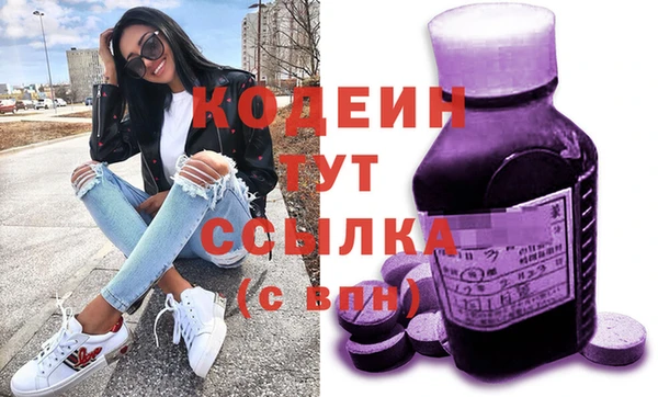 прущие грибы Абаза