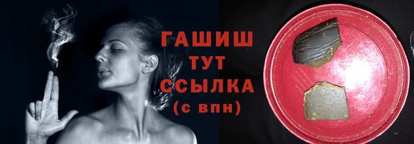 прущие грибы Абаза