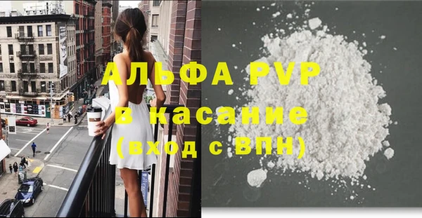 прущие грибы Абаза