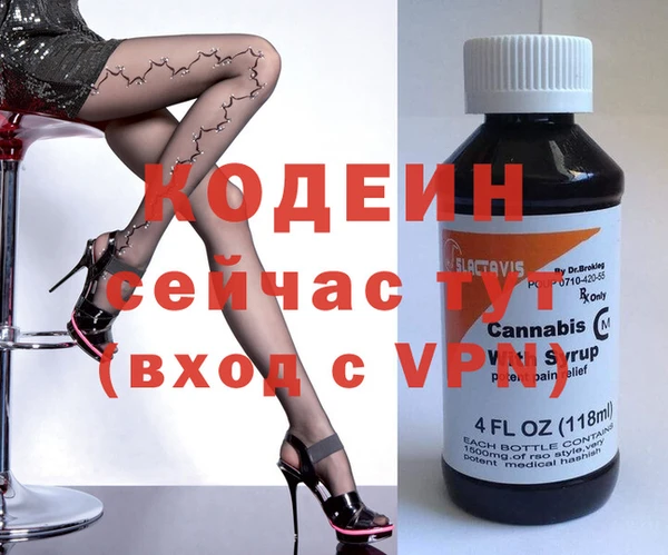 прущие грибы Абаза