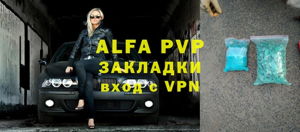 прущие грибы Абаза