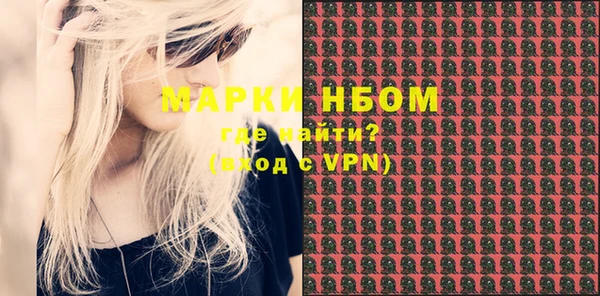 прущие грибы Абаза