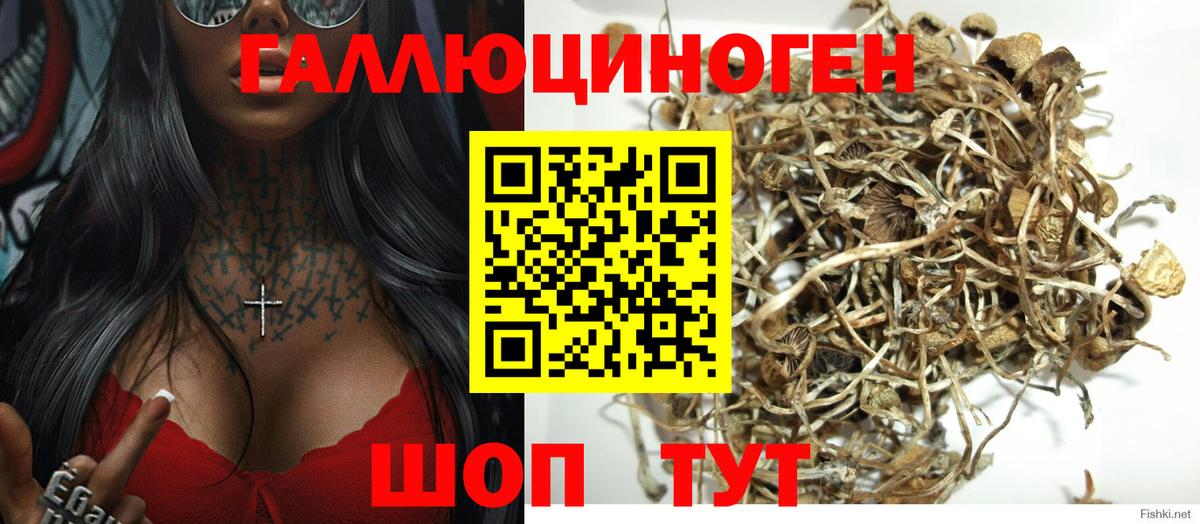Галлюциногенные грибы прущие грибы Стрежевой