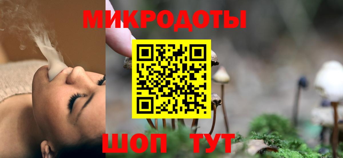 Стрежевой  Галлюциногенные грибы Psilocybine cubensis  Вход с VPN 